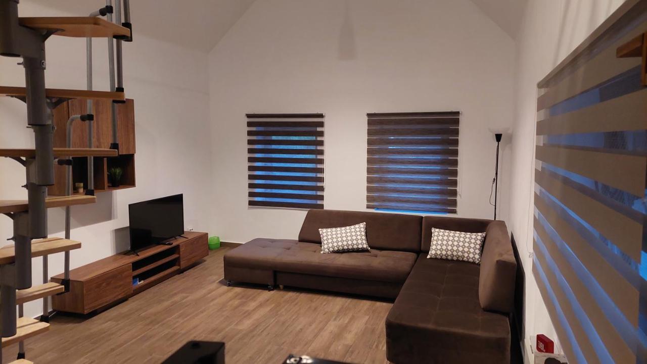 Casa Noua Βίλα Sasca Montană Εξωτερικό φωτογραφία