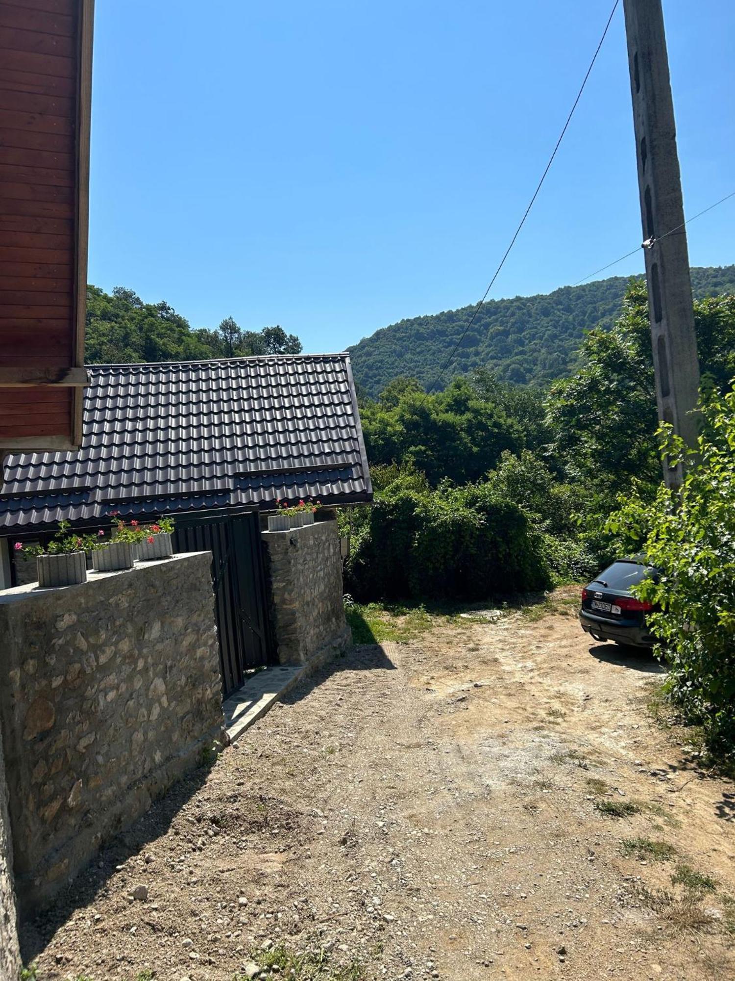Casa Noua Βίλα Sasca Montană Εξωτερικό φωτογραφία