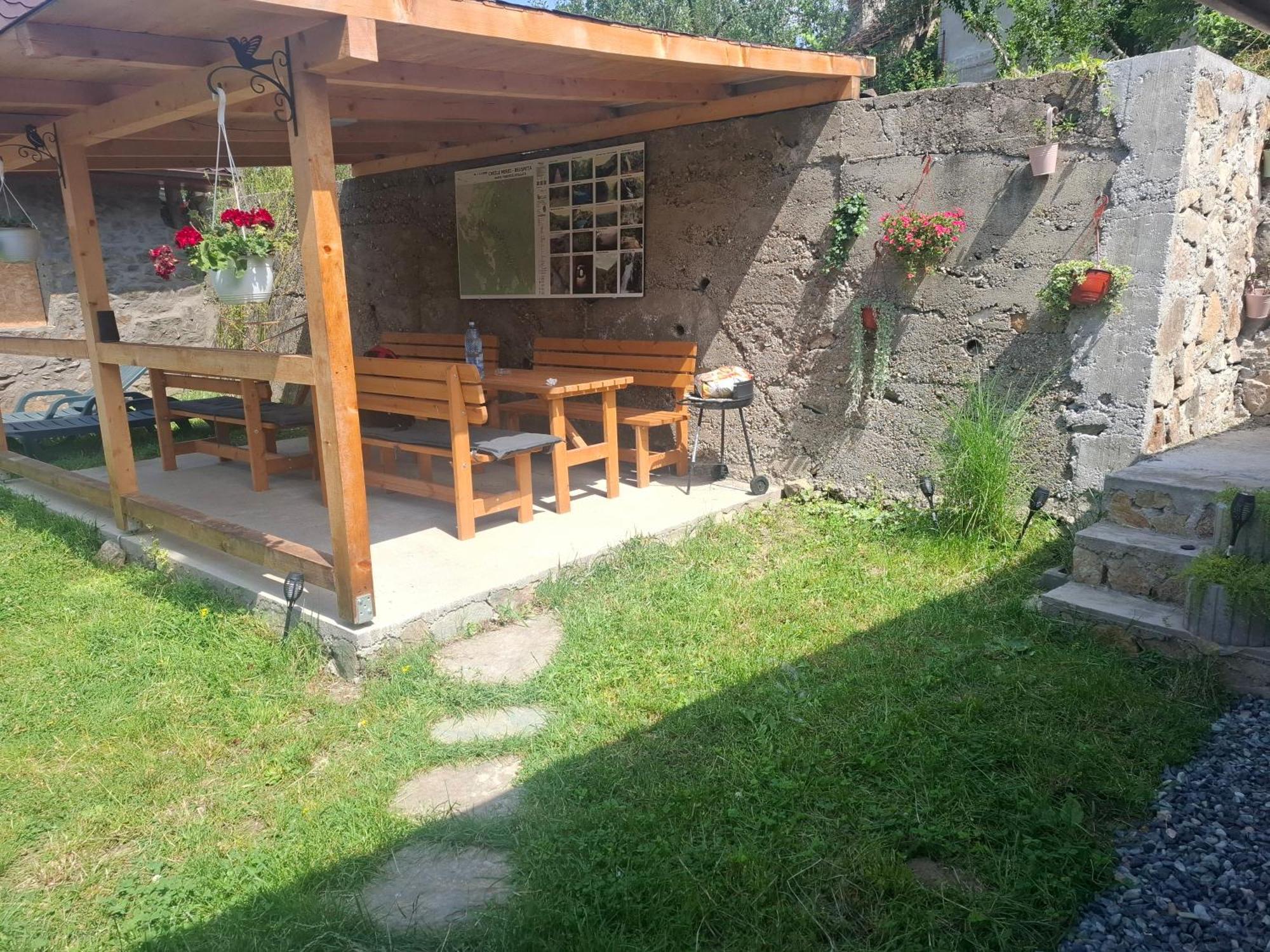Casa Noua Βίλα Sasca Montană Εξωτερικό φωτογραφία